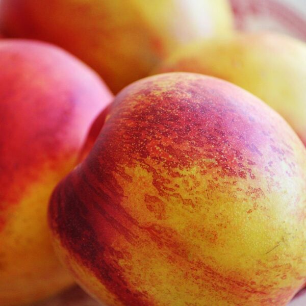 organic nectarines fading into background