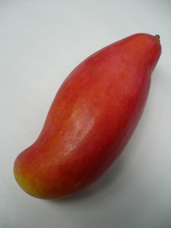 one organic parrot mango